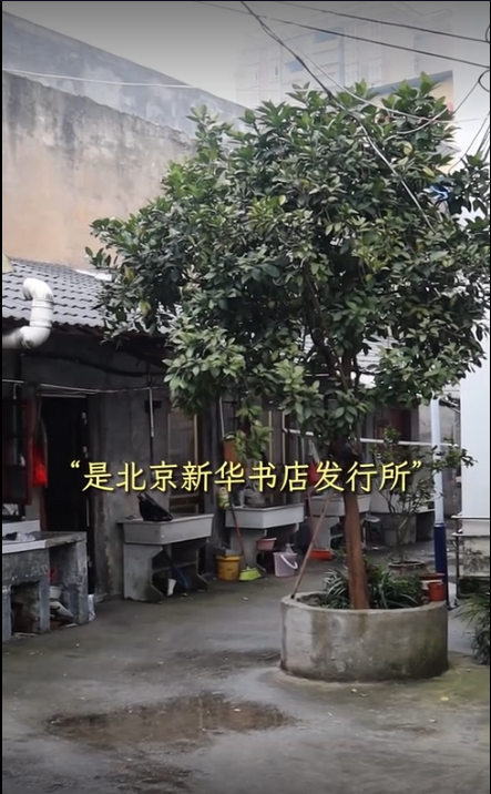北京姑娘
